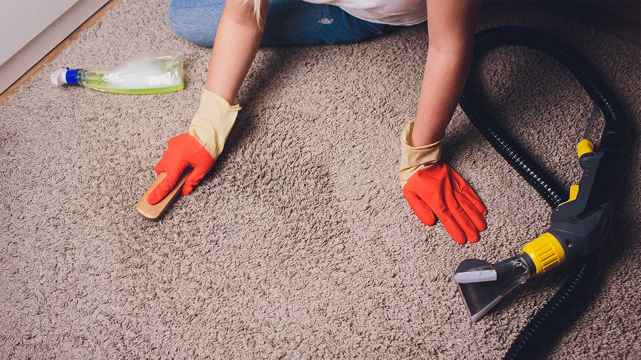 Tip 6 – use a cleanser for your carpet